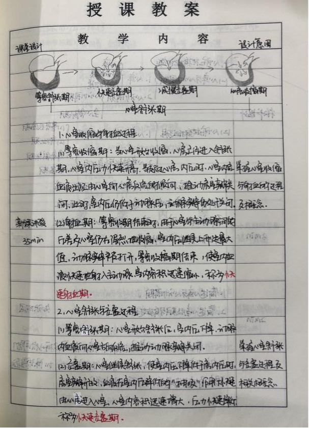 優(yōu)秀教案賞析 | 探秘人體：從生理到解剖的知識(shí)之旅